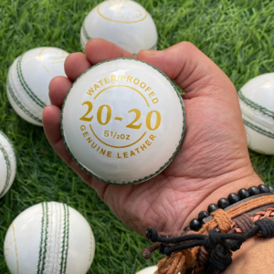 t20 leather balls