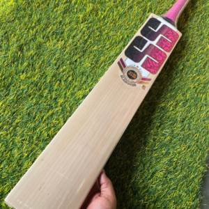 ss gladiator cricket bat