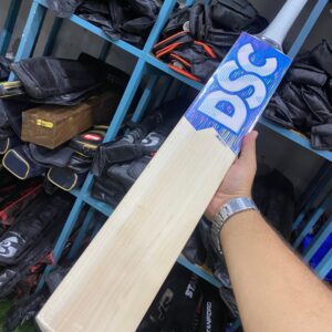 dsc cricktet bat
