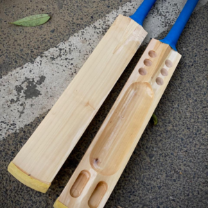 ms crickte bat